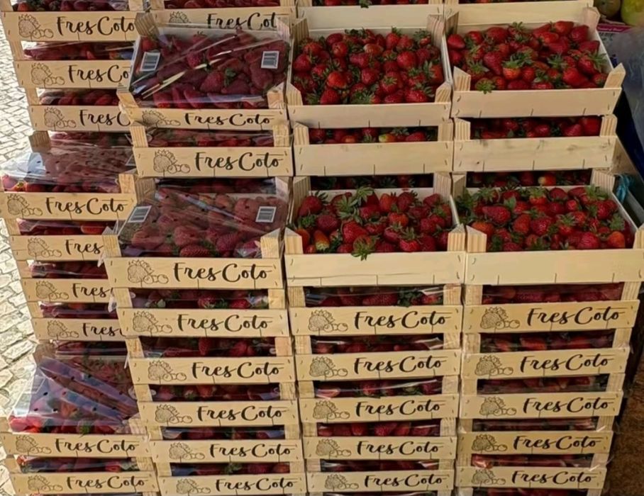 Caixas de  2 Kg DELICIOSOS morangos  para venda entregas