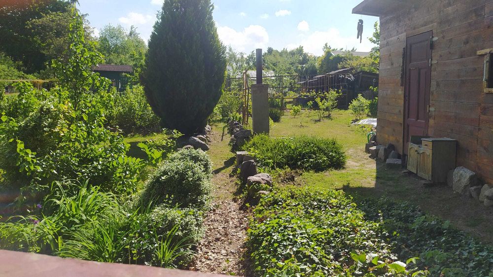 Działka ROD na sprzedaż