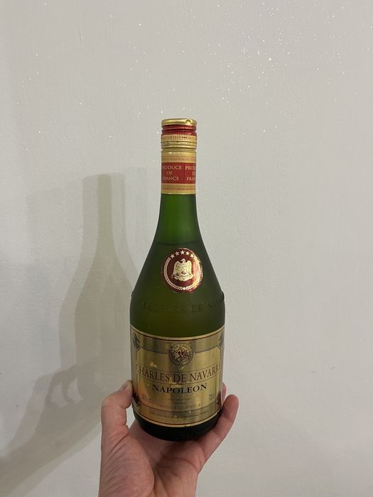 Napoleon Charles De Navarre