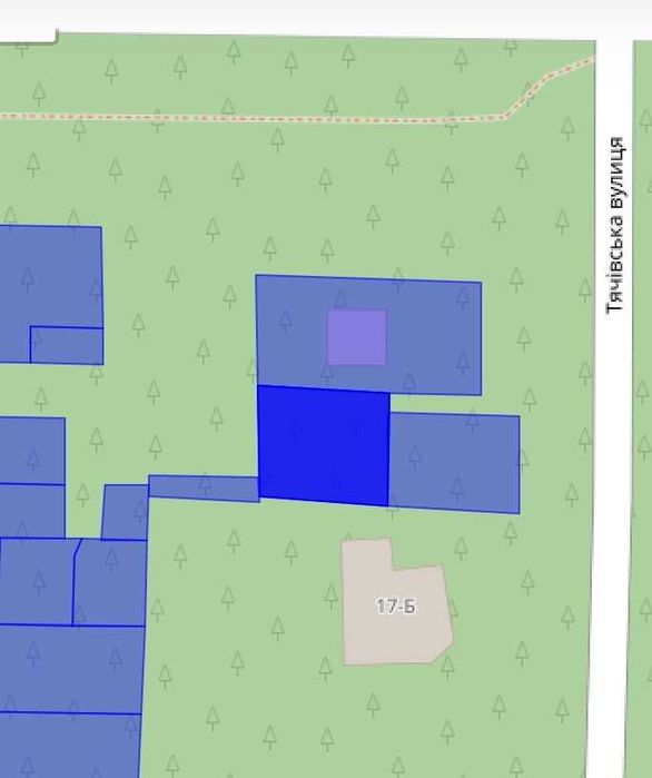 Буча Лісна вул.Тургенєва, асфальт, поруч нова школа