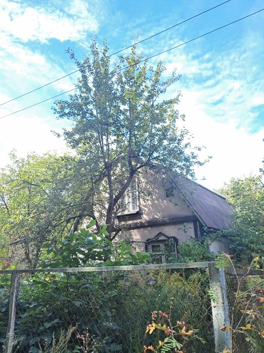 с. Микуличі, Немешаєво, Ворзель, Буча. 20 км від Києва. Дача у лісі!