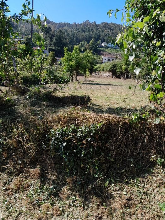 Limpeza de terrenos