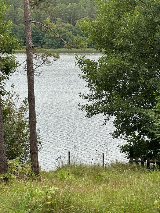 Odstąpię dzierżawę działki leśnej na Kaszubach - Widok 4