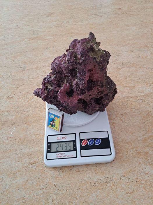 Живий камінь морський, рифовий, для морського акваріума