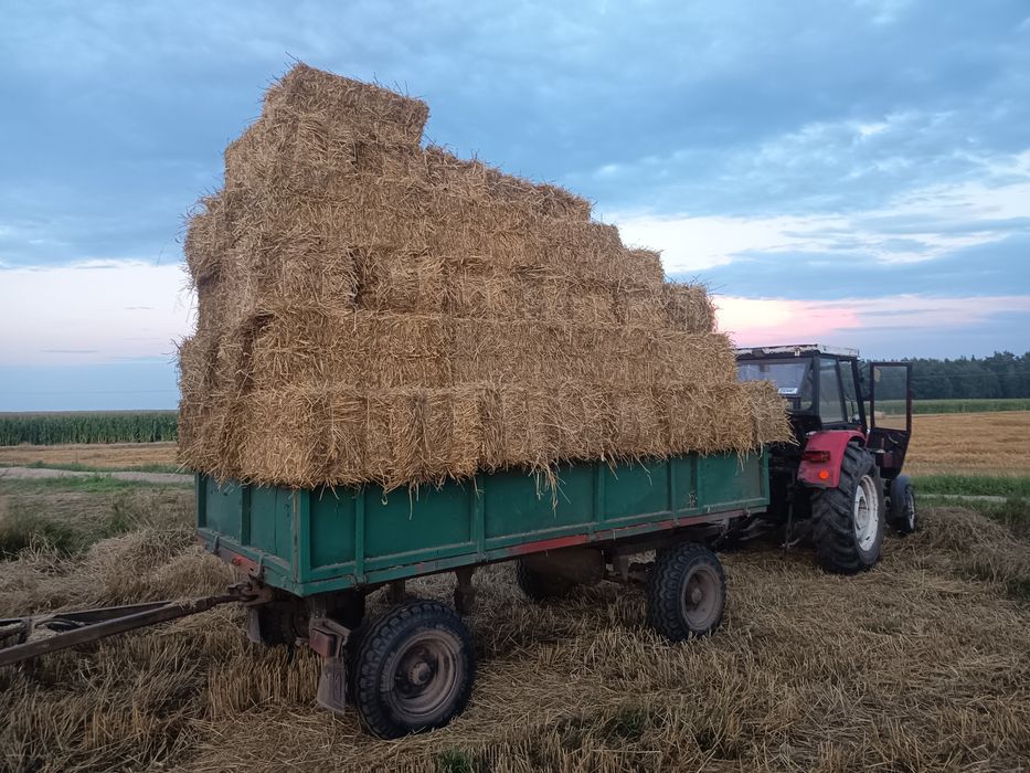 Siano  słoma w kostkach