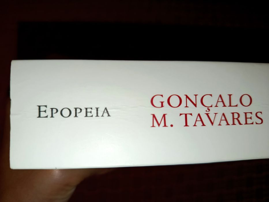 Livro: O Fim dos Estados Unidos da América, Gonçalo M. Tavares