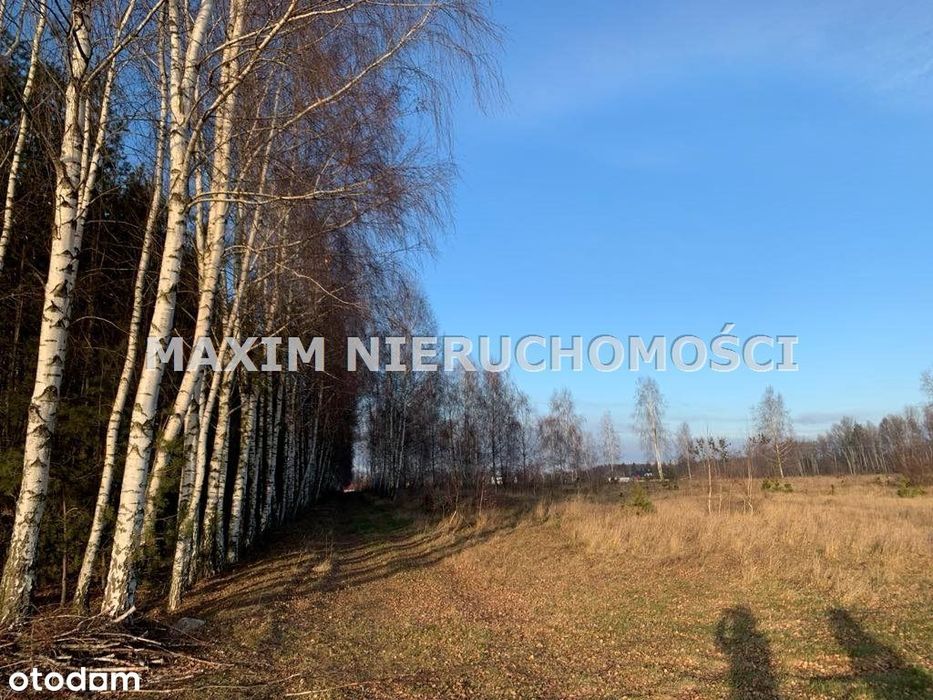 Działki z Wz w Latonicach gm Nowe Miasto - Widok 3