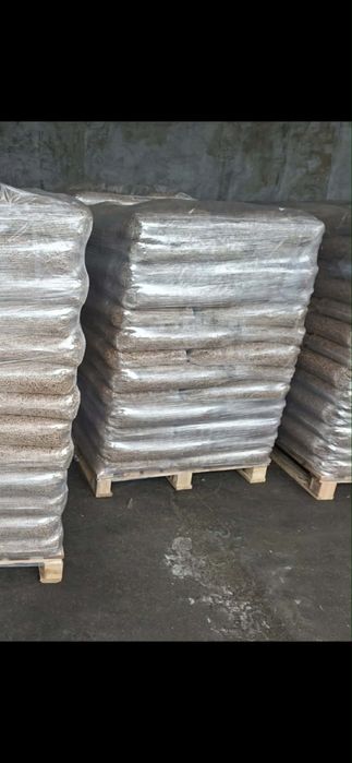 Pellet standard z drzew iglastych