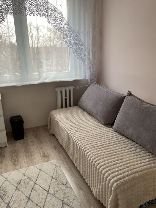 Pokój do wynajęcia