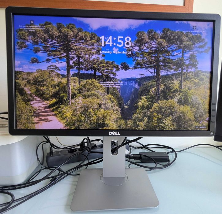 Monitor Dell P2214HB (Bom estado)