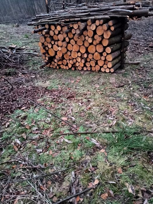 Drewnio do kominka i nie tylko