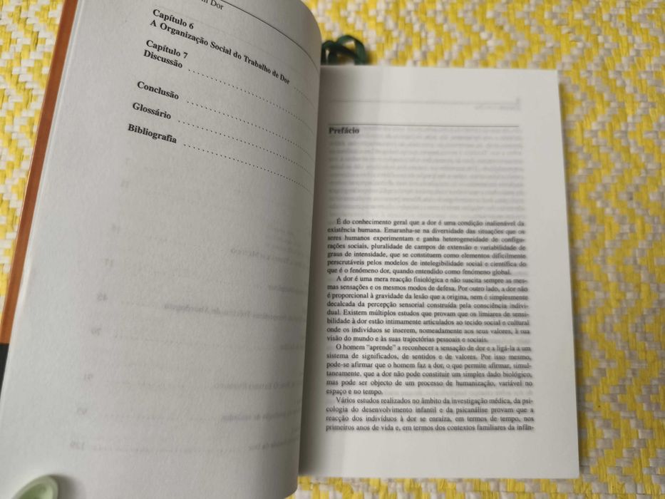 Crianças com dor – 
Anada Fernandes