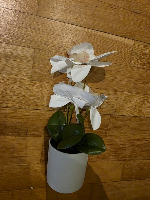 Sztuczny storczyk w doniczce