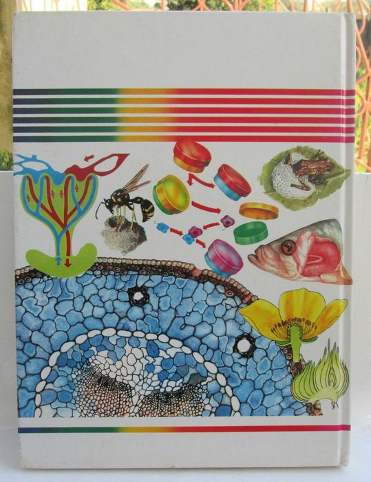 Enciclopédia Juvenil Ilustrada, Biologia (1988)