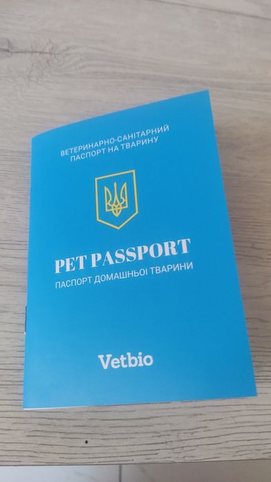 собаки лабладори