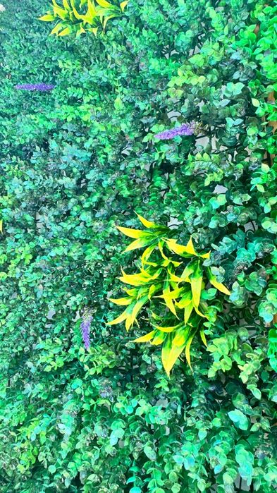 Jardim Vertical 3,0m x 2,5m, ótimo estado