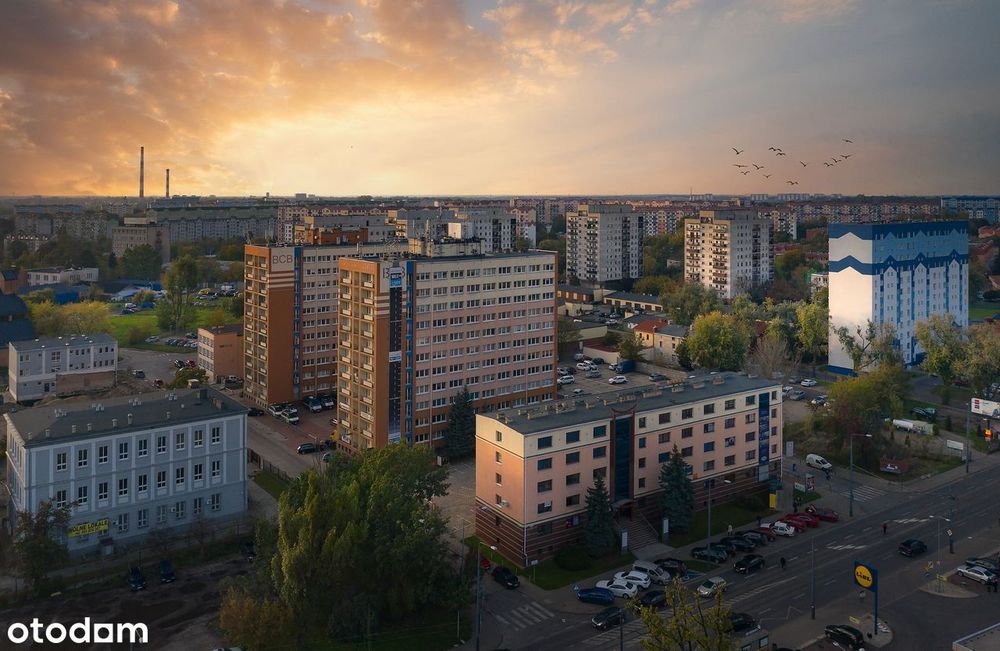 lokal na biuro ok. 37 m2 ( dwa pokoje) parter