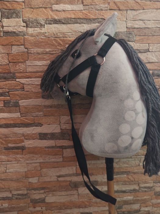 Hobby Horse A 2.