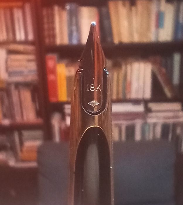 Waterman CF - Caneta de tinta permanente