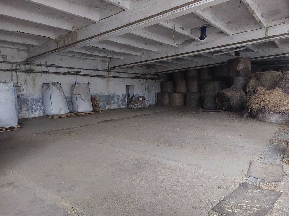 Magazyn suchy - 10km od A1 (Kowal)