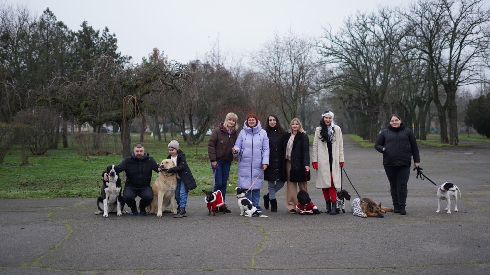 Дрессировка собак. Хендлинг