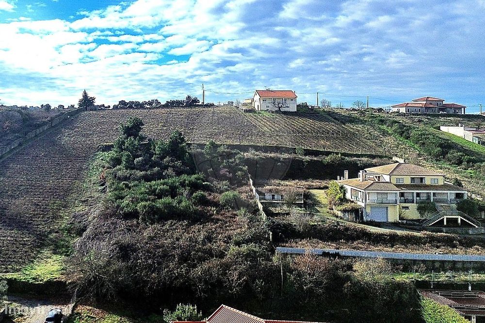 Terreno  para venda — São João Da Pesqueira E Várzea De Trevões, Viseu