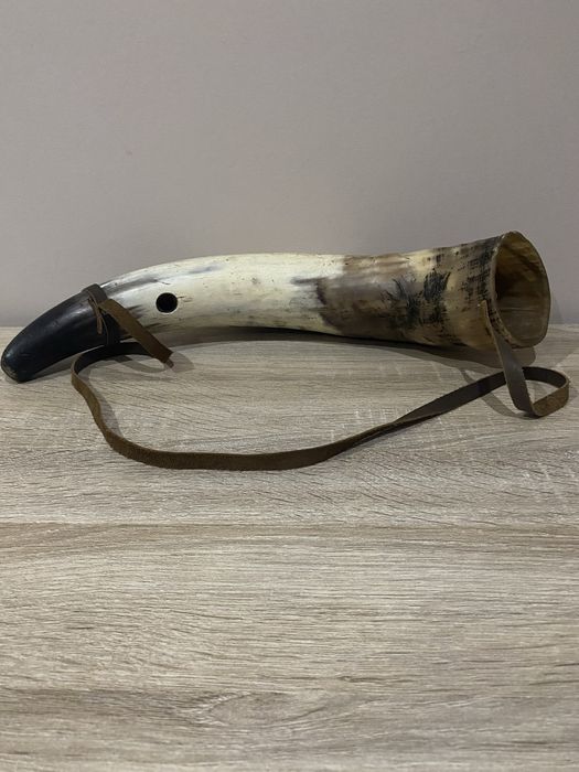 Corno raro de porte grande