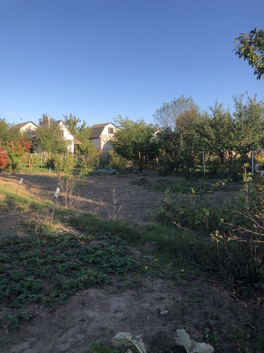 Продам дачну ділянку