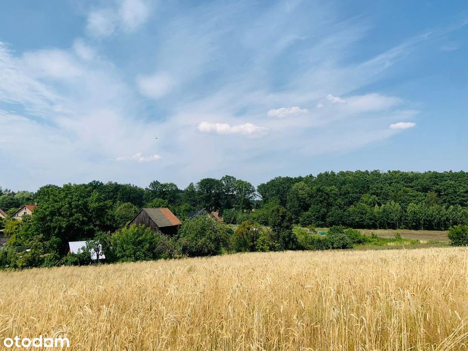 Działka budowlana w okolicach Łagowa, warunki zabudowy