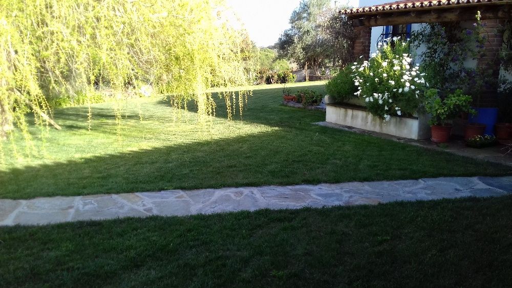 Serviços de Jardinagem, Topiária, construção civil e pintura,
