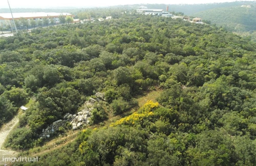 Terreno Rústico na preferia da fantástica Cidade de Fátima