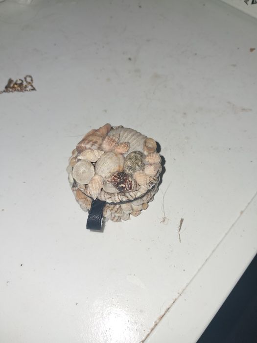 Guarda joias em buzios