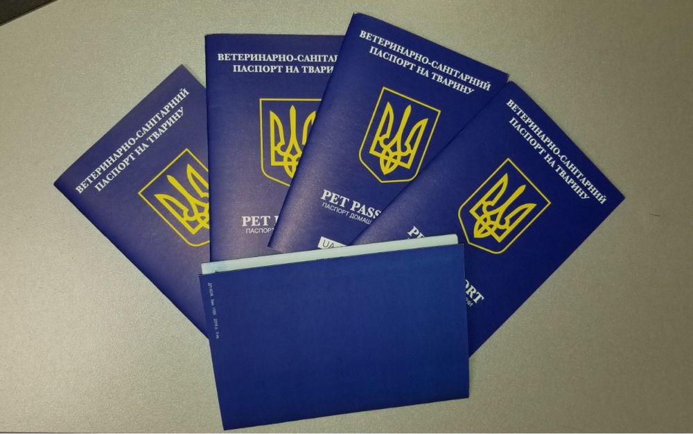 СРОЧНО за 5дней‼️Ветформа. Чипирование собак и других для выезда в ЕС