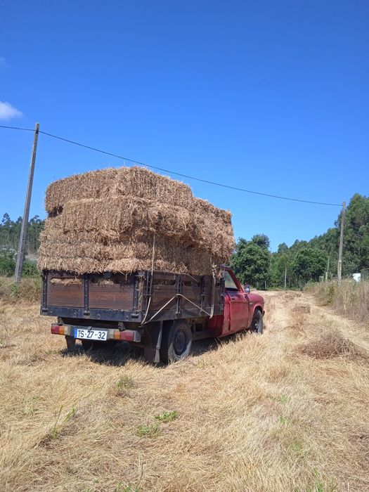 Vendo palha para animais