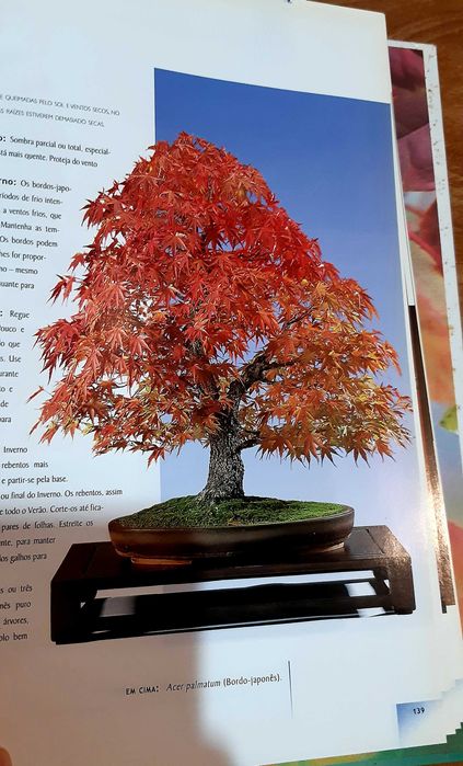Livros vários temas