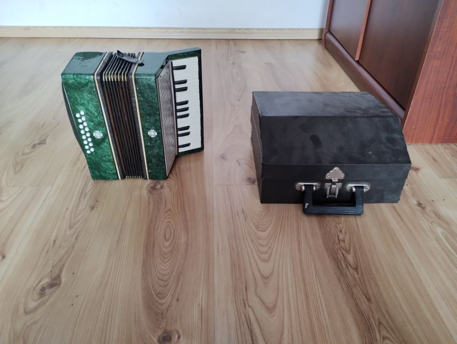 Mini akordeon mały