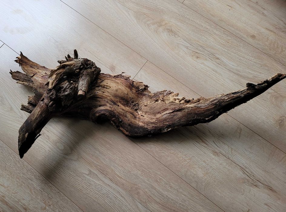 Korzeń naturalny 61 / 27 cm do akwarium terrarium