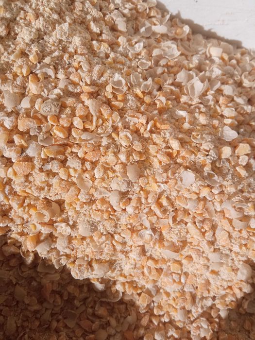 ŚRUTA GROCHOWA karma pasza groch