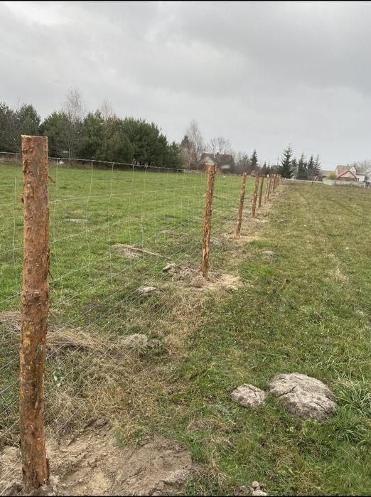 Ogrodzenie leśne tymczasowe budowlane