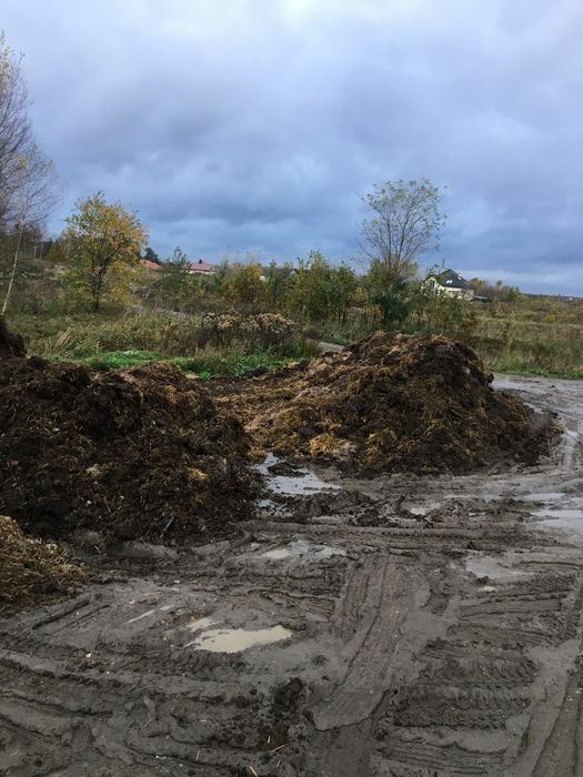 Obornik przemaserowany