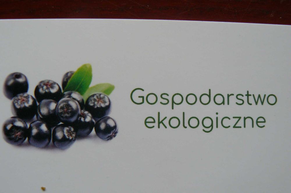 Jeżyna bezkolcowa .