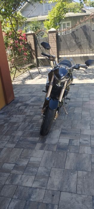 GEON stinger 250