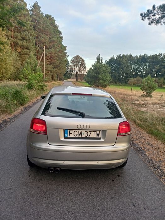 Audi a3 8P 2.0 benzyna