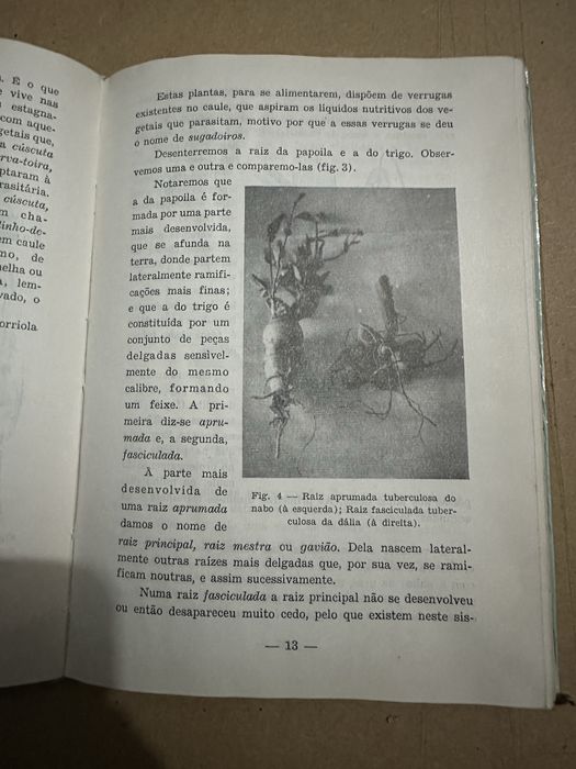Livro antigo compendio de botânica