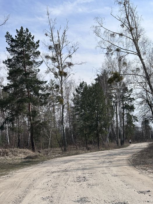 Дмитрівка 10 соток під забудову ( куба)