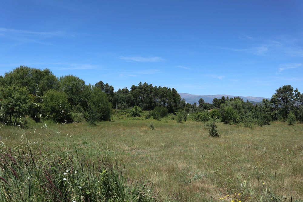 Quinta de 3,6 hectares com ruínas e terreno urbano em Alcaide