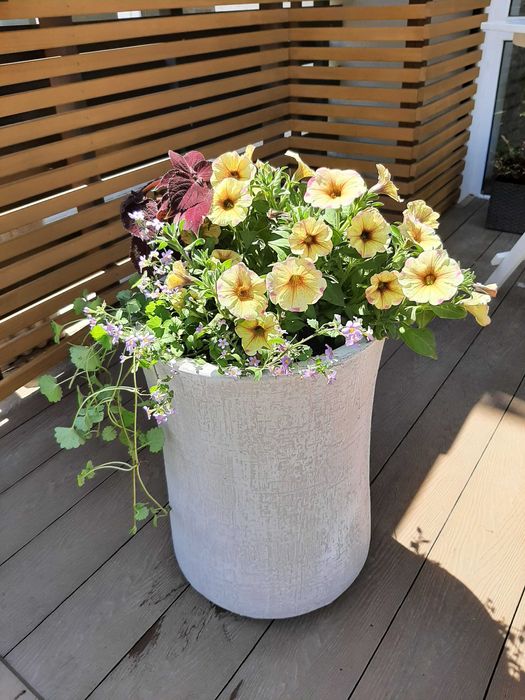 Paisagismo e  jardinagem/Landscape design and gardening