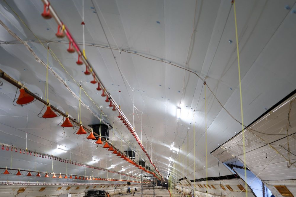 Błękitne Panele Izolacyjne Podbitka Styrodur XPS AGRO 4,5,6,8,10,12 cm