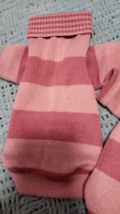 Светрики для сфінксів