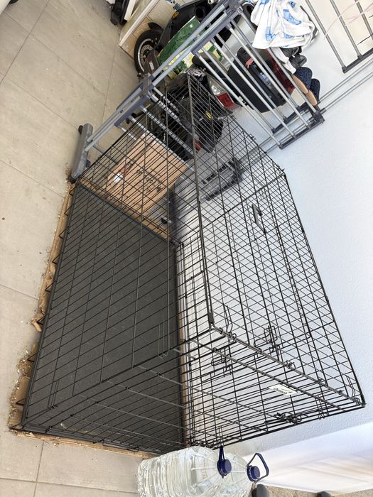 Transportadora de animais